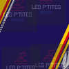 Cadre Légo F1 Oracle REDBULL set 42206