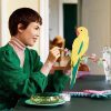 LEGO De Faunacollectie – Kleurrijke papegaaien 31211 Art